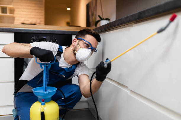 Best Pest Inspection Near Me  in Ralls, TX