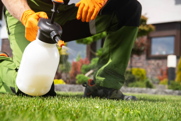 Best Local Pest Control Services  in Ralls, TX