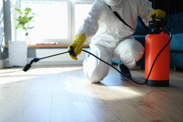 Best Best Pest Control Companies  in Ralls, TX