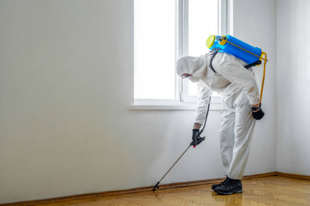 Best Mosquito Control Services  in Ralls, TX
