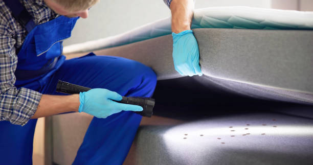 Best Affordable Pest Control Services  in Ralls, TX