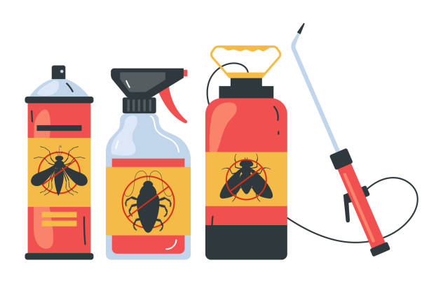 Best Wasp Removal Services  in Ralls, TX