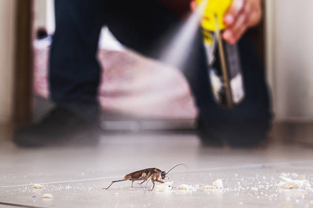 Ralls, TX Pest Control Company